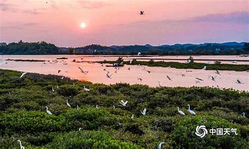 广西钦州天气预报_广西钦州天气